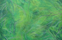 mindmap, großes Moos, 2017, 124 x 132 cm, Eitempera/Ölfarbe auf Nessel