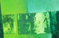 unbetitelt., GRÜN, 2005, 60x40 cm, Eitempera/Ölfarbe auf Leinwand