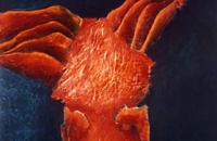 Nerven I, 1996, 150x107 cm, Eitempera/Öl auf Nessel    